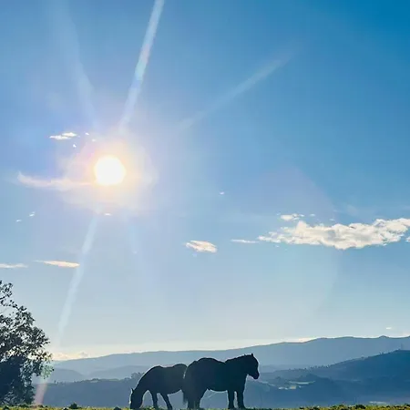 Сasa de vacaciones Buena Vista