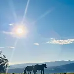 펜션 Buena Vista
